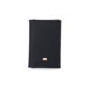 POLO - Thumbnail Image 1